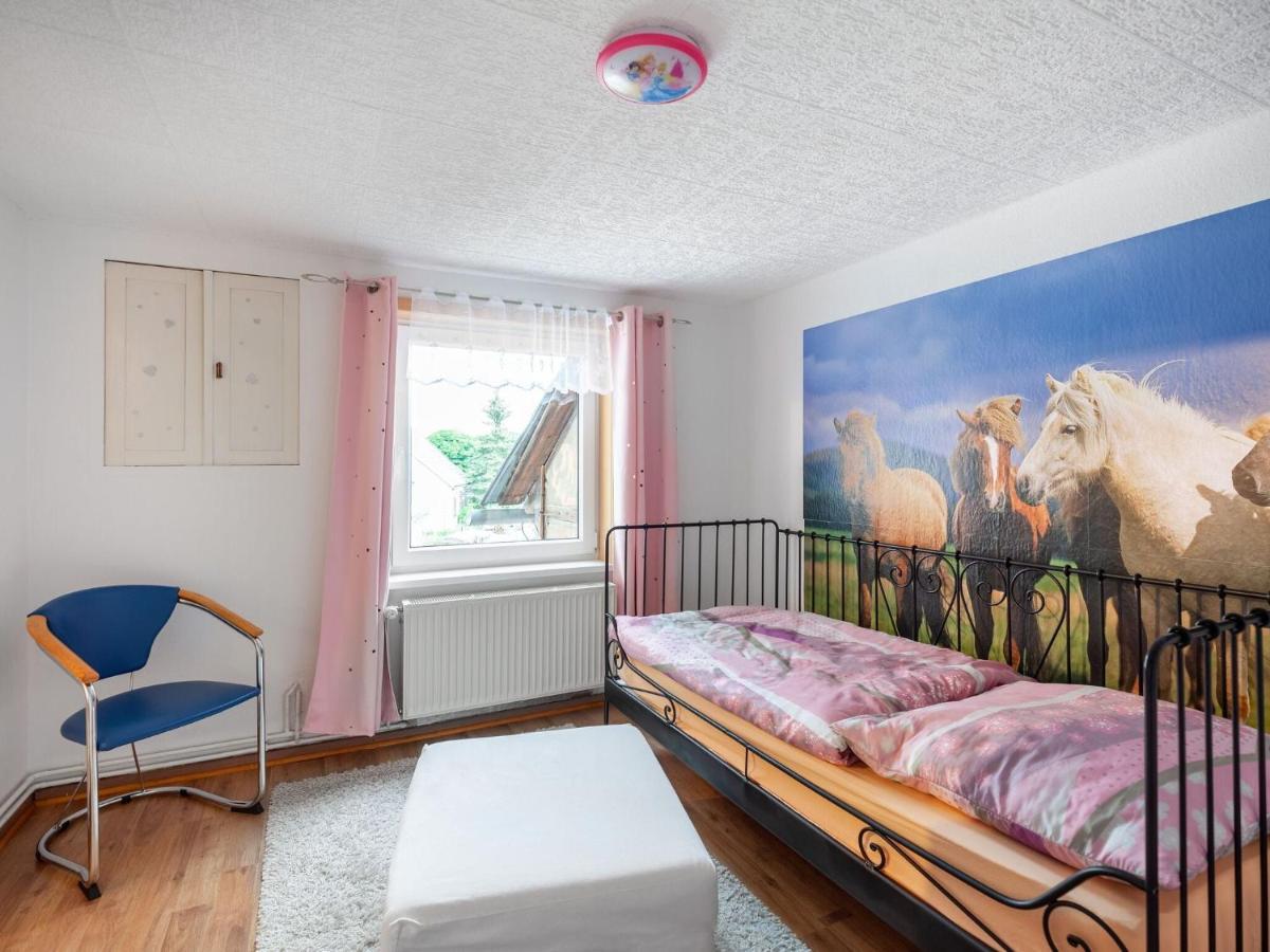 Apartment With Private Terrace Benneckenstein Esterno foto